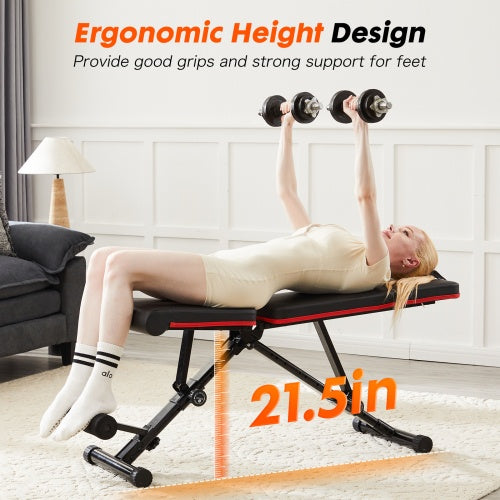 Adjustable Workout Bench