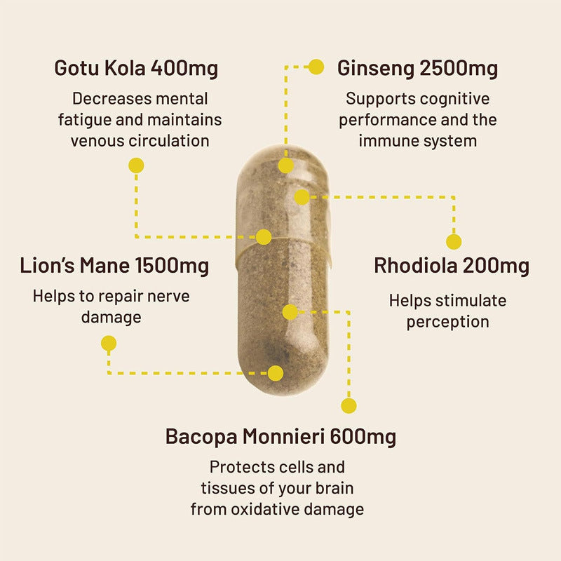 MZT Lions Mane Capsules