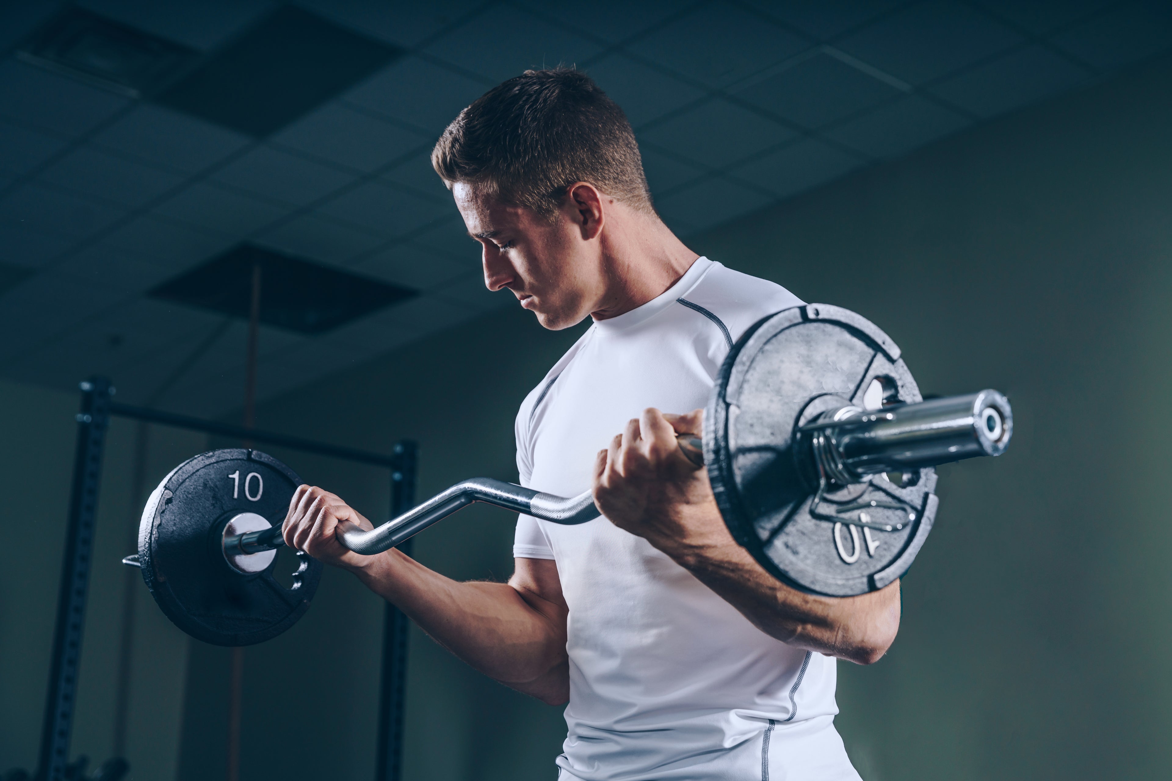 Gym Equipment