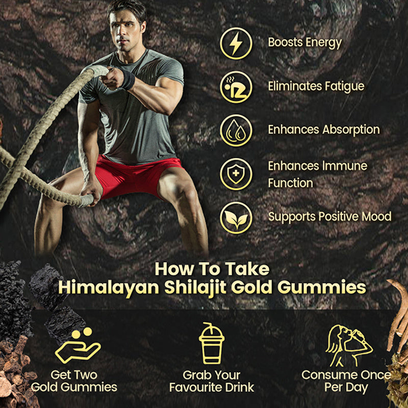 Natural Himalayan Golden Shilajit Gummies